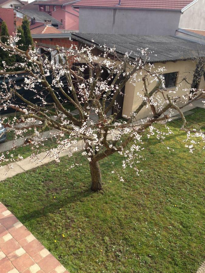 Apartman Tim Osijek Zewnętrze zdjęcie
